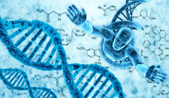 Российские ученые перепрограммировали ДНК человека